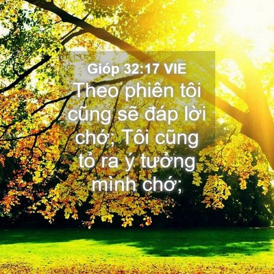 Picture 04 - Gióp 32:17 VIE - Theo phiên tôi cũng sẽ đáp lời chớ; - Bible Verse Picture