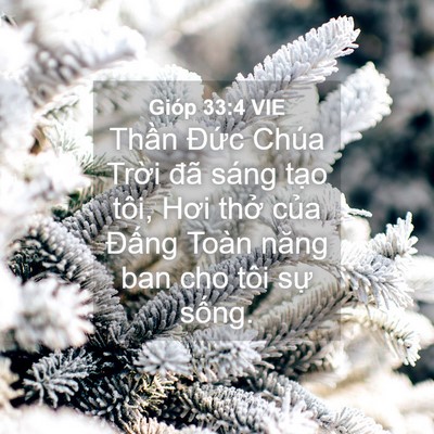 Picture 04 - Gióp 33:4 VIE - Thần Đức Chúa Trời đã sáng tạo tôi, - Bible Verse Picture