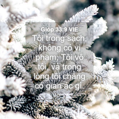 Picture 04 - Gióp 33:9 VIE - Tôi trong sạch, không có vi phạm; Tôi vô - Bible Verse Picture