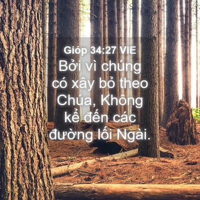 Picture 04 - Gióp 34:27 VIE - Bởi vì chúng có xây bỏ theo Chúa, Không - Bible Verse Picture