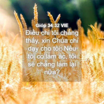 Picture 04 - Gióp 34:32 VIE - Điều chi tôi chẳng thấy, xin Chúa chỉ - Bible Verse Picture