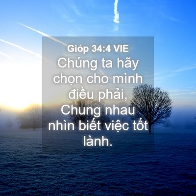 Picture 04 - Gióp 34:4 VIE - Chúng ta hãy chọn cho mình điều phải, - Bible Verse Picture