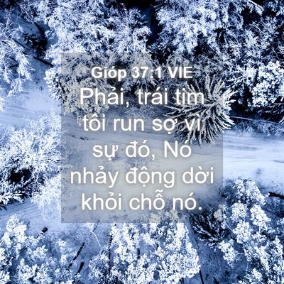 Picture 04 - Gióp 37:1 VIE - Phải, trái tim tôi run sợ vì sự đó, - Bible Verse Picture
