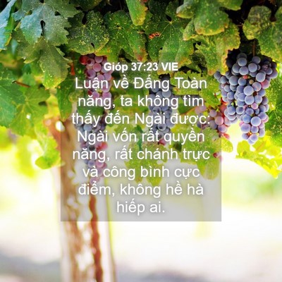 Picture 04 - Gióp 37:23 VIE - Luận về Đấng Toàn năng, ta không tìm - Bible Verse Picture