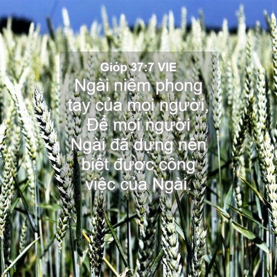 Picture 04 - Gióp 37:7 VIE - Ngài niêm phong tay của mọi người, Để - Bible Verse Picture