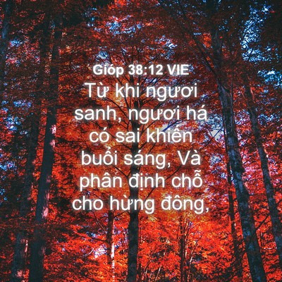 Picture 04 - Gióp 38:12 VIE - Từ khi ngươi sanh, ngươi há có sai - Bible Verse Picture