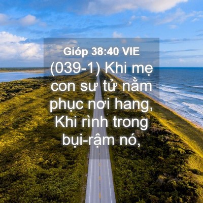 Picture 04 - Gióp 38:40 VIE - (039-1) Khi mẹ con sư tử nằm phục nơi - Bible Verse Picture