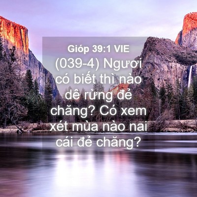 Picture 04 - Gióp 39:1 VIE - (039-4) Ngươi có biết thì nào dê rừng - Bible Verse Picture