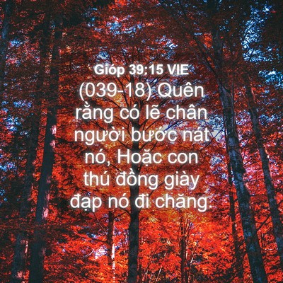 Picture 04 - Gióp 39:15 VIE - (039-18) Quên rằng có lẽ chân người - Bible Verse Picture