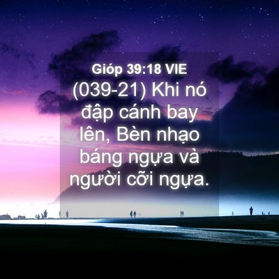 Picture 04 - Gióp 39:18 VIE - (039-21) Khi nó đập cánh bay lên, Bèn - Bible Verse Picture