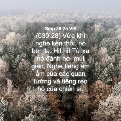 Picture 04 - Gióp 39:25 VIE - (039-28) Vừa khi nghe kèn thổi, nó bèn la: - Bible Verse Picture