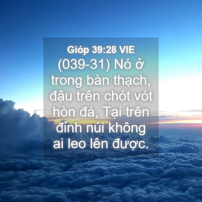 Picture 04 - Gióp 39:28 VIE - (039-31) Nó ở trong bàn thạch, đậu trên - Bible Verse Picture