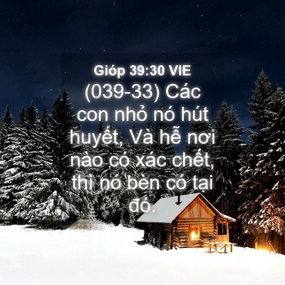 Picture 04 - Gióp 39:30 VIE - (039-33) Các con nhỏ nó hút huyết, Và - Bible Verse Picture