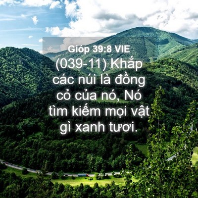 Picture 04 - Gióp 39:8 VIE - (039-11) Khắp các núi là đồng cỏ của - Bible Verse Picture