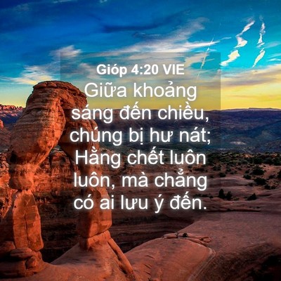 Picture 04 - Gióp 4:20 VIE - Giữa khoảng sáng đến chiều, chúng bị - Bible Verse Picture