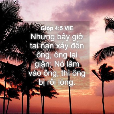 Picture 04 - Gióp 4:5 VIE - Nhưng bây giờ tai nạn xảy đến ông, - Bible Verse Picture