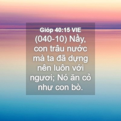 Picture 04 - Gióp 40:15 VIE - (040-10) Nầy, con trâu nước mà ta đã - Bible Verse Picture