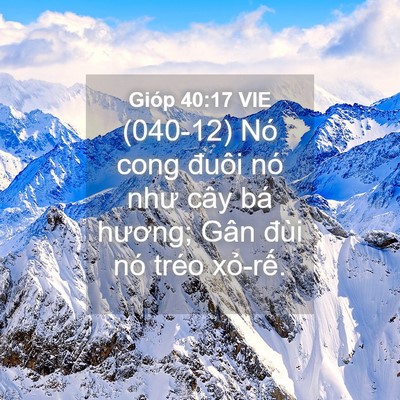 Picture 04 - Gióp 40:17 VIE - (040-12) Nó cong đuôi nó như cây bá - Bible Verse Picture
