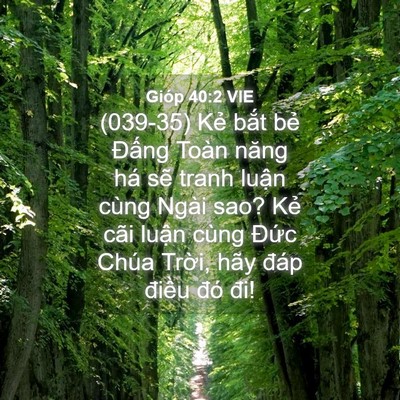 Picture 04 - Gióp 40:2 VIE - (039-35) Kẻ bắt bẻ Đấng Toàn năng há - Bible Verse Picture