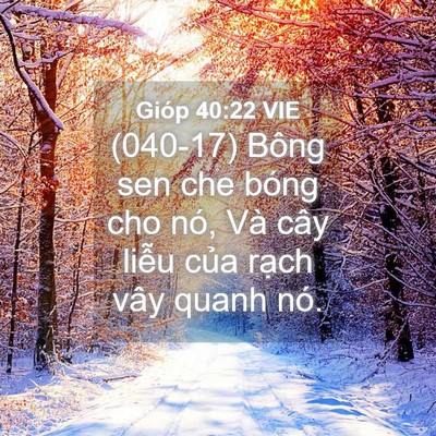 Picture 04 - Gióp 40:22 VIE - (040-17) Bông sen che bóng cho nó, Và cây - Bible Verse Picture
