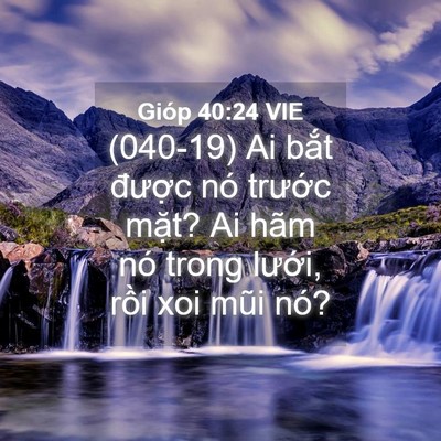 Picture 04 - Gióp 40:24 VIE - (040-19) Ai bắt được nó trước mặt? Ai - Bible Verse Picture