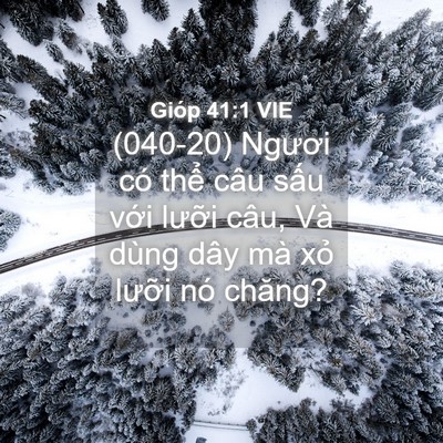 Picture 04 - Gióp 41:1 VIE - (040-20) Ngươi có thể câu sấu với - Bible Verse Picture