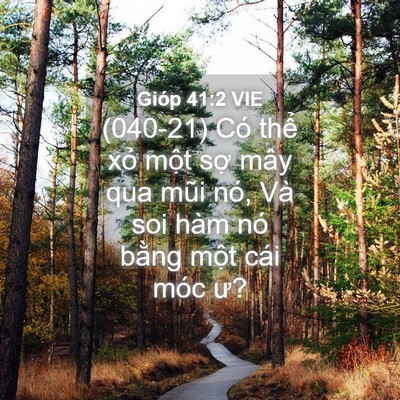 Picture 04 - Gióp 41:2 VIE - (040-21) Có thể xỏ một sợ mây qua mũi - Bible Verse Picture