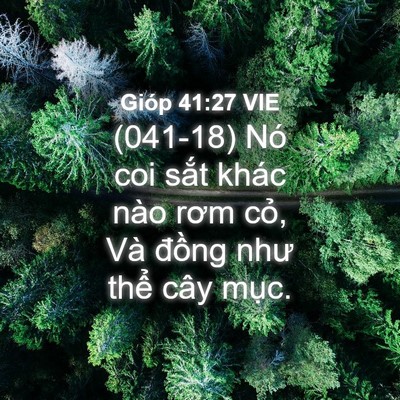 Picture 04 - Gióp 41:27 VIE - (041-18) Nó coi sắt khác nào rơm cỏ, Và - Bible Verse Picture