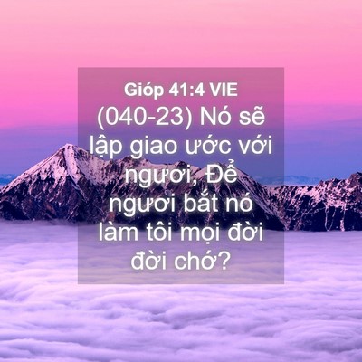 Picture 04 - Gióp 41:4 VIE - (040-23) Nó sẽ lập giao ước với - Bible Verse Picture