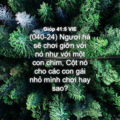 Picture 04 - Gióp 41:5 VIE - (040-24) Ngươi há sẽ chơi giỡn với nó - Bible Verse Picture