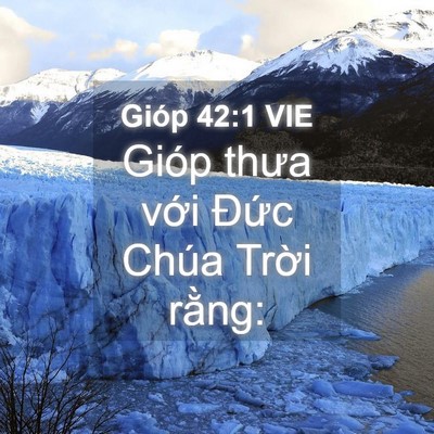 Picture 04 - Gióp 42:1 VIE - Gióp thưa với Đức Chúa Trời - Bible Verse Picture