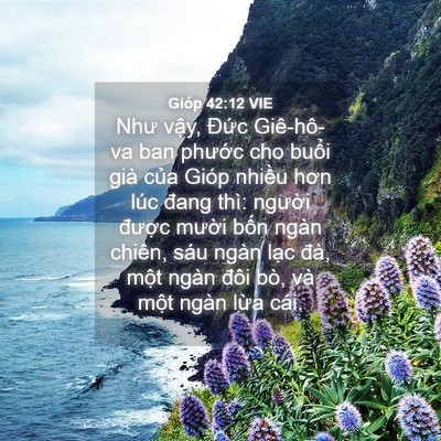 Picture 04 - Gióp 42:12 VIE - Như vậy, Đức Giê-hô-va ban phước cho - Bible Verse Picture