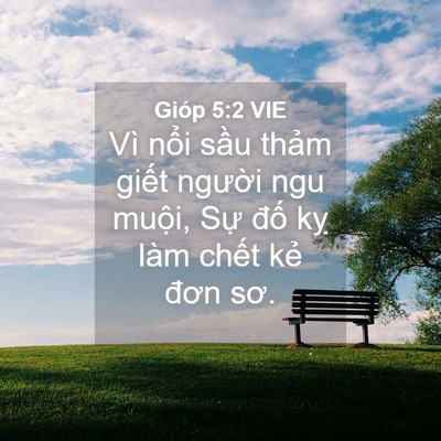 Picture 04 - Gióp 5:2 VIE - Vì nổi sầu thảm giết người ngu - Bible Verse Picture