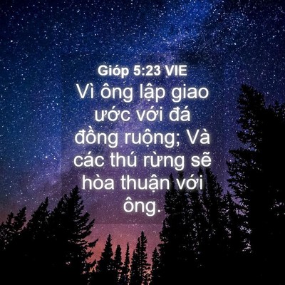 Picture 04 - Gióp 5:23 VIE - Vì ông lập giao ước với đá đồng - Bible Verse Picture