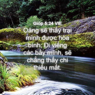 Picture 04 - Gióp 5:24 VIE - Oâng sẽ thấy trại mình được hòa - Bible Verse Picture