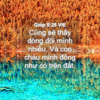 Picture 04 - Gióp 5:25 VIE - Cũng sẽ thấy dòng dõi mình nhiều, Và - Bible Verse Picture