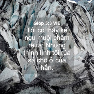 Picture 04 - Gióp 5:3 VIE - Tôi có thấy kẻ ngu muội châm rễ ra; - Bible Verse Picture
