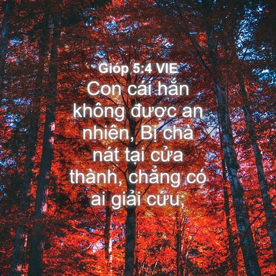 Picture 04 - Gióp 5:4 VIE - Con cái hắn không được an nhiên, Bị - Bible Verse Picture