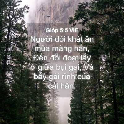 Picture 04 - Gióp 5:5 VIE - Người đói khát ăn mùa màng hắn, Đến - Bible Verse Picture