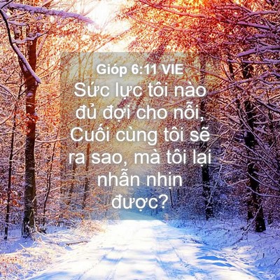 Picture 04 - Gióp 6:11 VIE - Sức lực tôi nào đủ đợi cho nỗi, - Bible Verse Picture