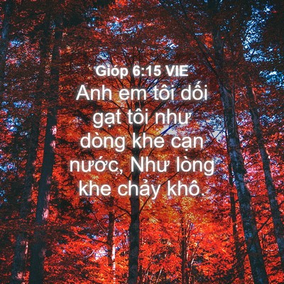 Picture 04 - Gióp 6:15 VIE - Anh em tôi dối gạt tôi như dòng khe cạn - Bible Verse Picture