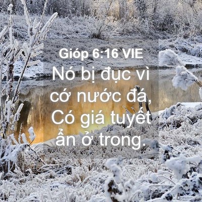 Picture 04 - Gióp 6:16 VIE - Nó bị đục vì cớ nước đá, Có giá - Bible Verse Picture