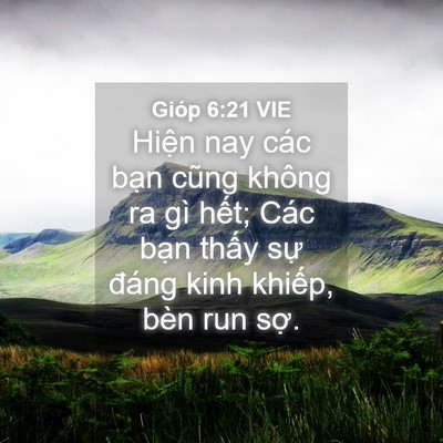 Picture 04 - Gióp 6:21 VIE - Hiện nay các bạn cũng không ra gì hết; - Bible Verse Picture
