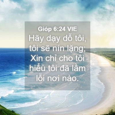 Picture 04 - Gióp 6:24 VIE - Hãy dạy dỗ tôi, tôi sẽ nín lặng; Xin - Bible Verse Picture