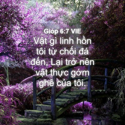 Picture 04 - Gióp 6:7 VIE - Vật gì linh hồn tôi từ chối đá - Bible Verse Picture