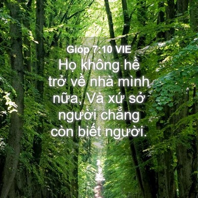 Picture 04 - Gióp 7:10 VIE - Họ không hề trở về nhà mình nữa, Và - Bible Verse Picture