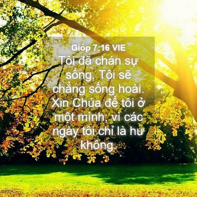 Picture 04 - Gióp 7:16 VIE - Tôi đã chán sự sống. Tôi sẽ chẳng - Bible Verse Picture