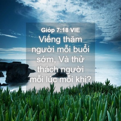 Picture 04 - Gióp 7:18 VIE - Viếng thăm người mỗi buổi sớm, Và - Bible Verse Picture