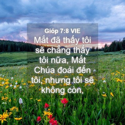 Picture 04 - Gióp 7:8 VIE - Mắt đã thấy tôi sẽ chẳng thấy tôi - Bible Verse Picture
