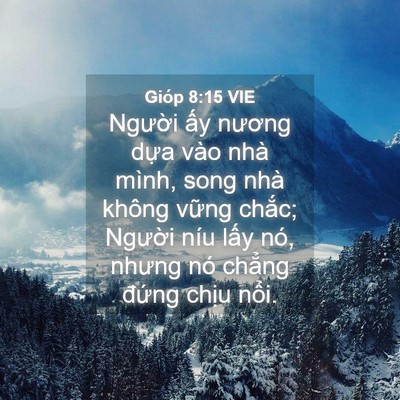 Picture 04 - Gióp 8:15 VIE - Người ấy nương dựa vào nhà mình, song - Bible Verse Picture